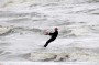 Thumbs/tn_Kite Board Open 2016 zondag 092.jpg